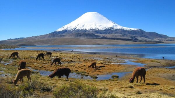 parque nacional lauca